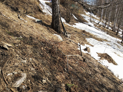 History Museum «Museum at Eldridge Street», reviews and photos, 12 Eldridge St, New York, NY 10002, USA