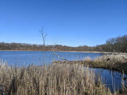 Nature Preserve «Asylum Lake Preserve», reviews and photos, 3836 S Drake Rd, Kalamazoo, MI 49008, USA