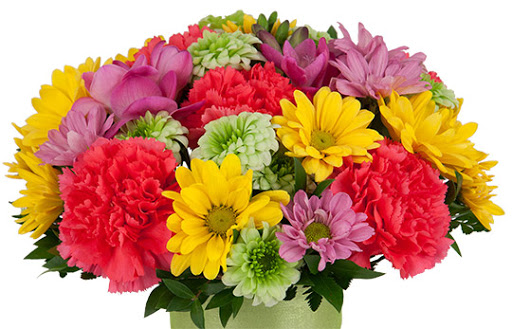 Florist «Lyncrafts and Floral Designs», reviews and photos, 255 Hamburg Turnpike, Riverdale, NJ 07457, USA
