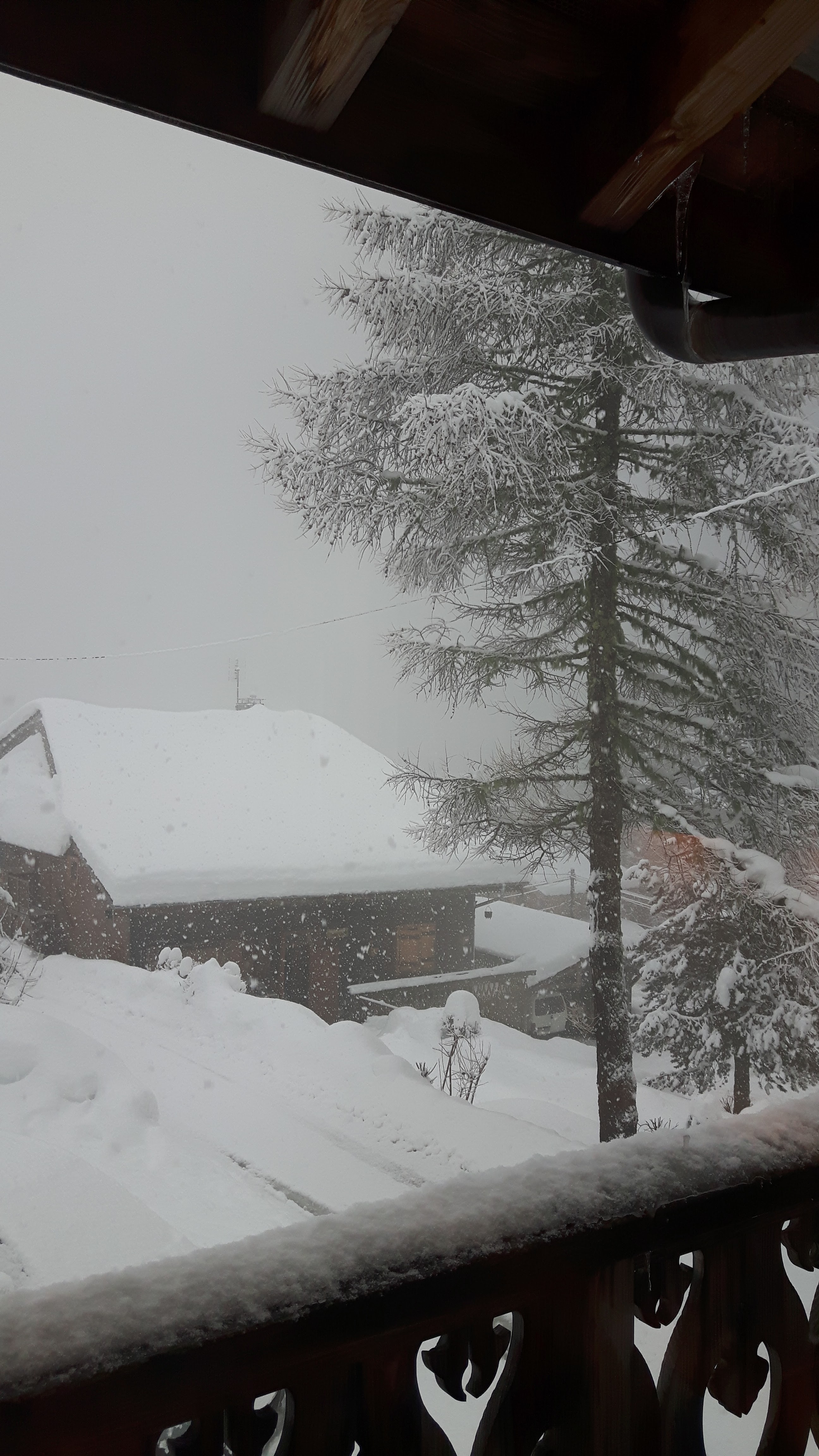 Photo n° 2 de l'avis de Jill.i fait le 02/02/2019 à 07:54