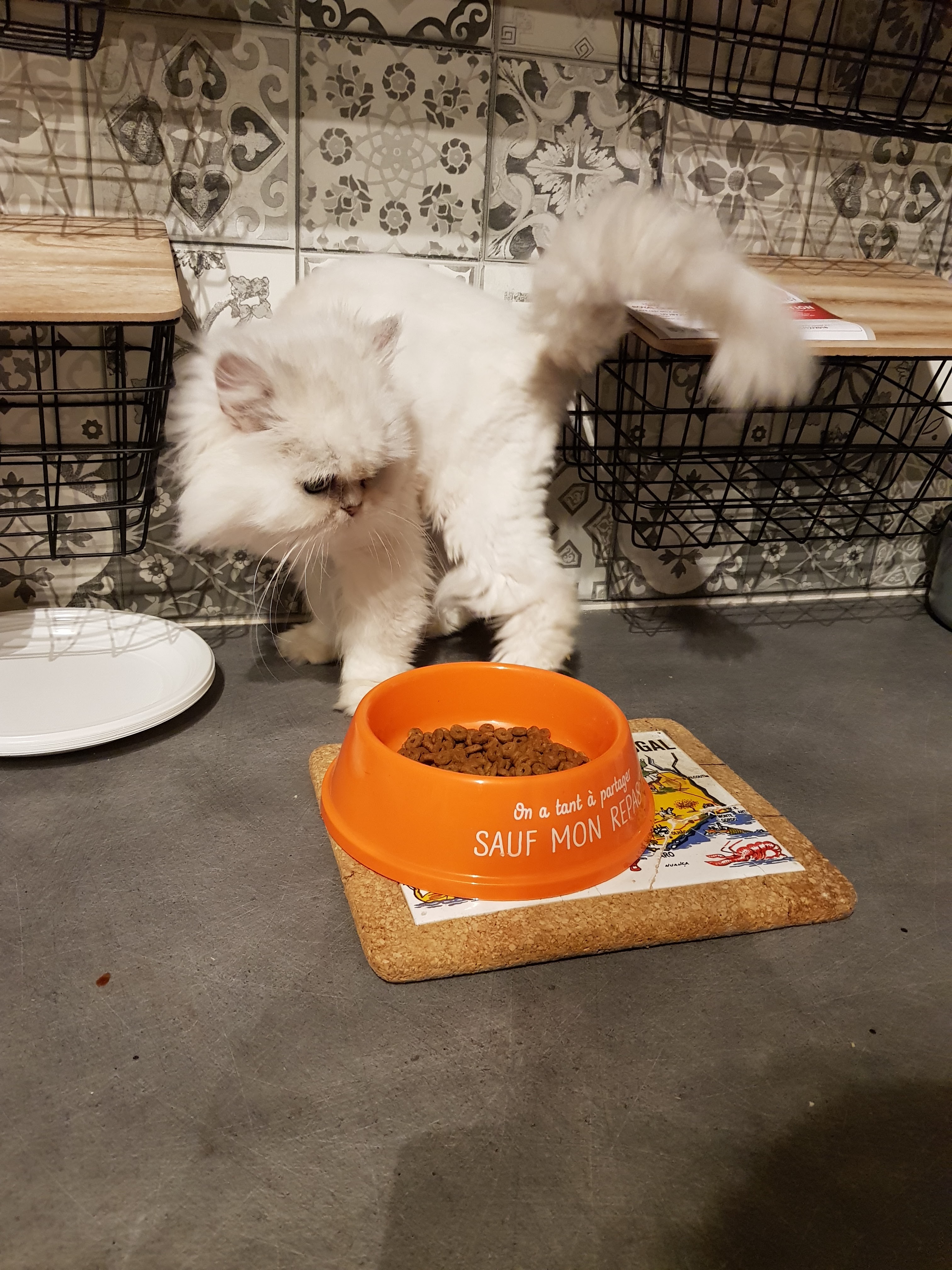 Photo n° 1 de l'avis de Jessica.e fait le 31/12/2018 à 17:58