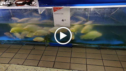 Grocery Store «New Grand Mart», reviews and photos, 6326 Arlington Blvd, Falls Church, VA 22042, USA