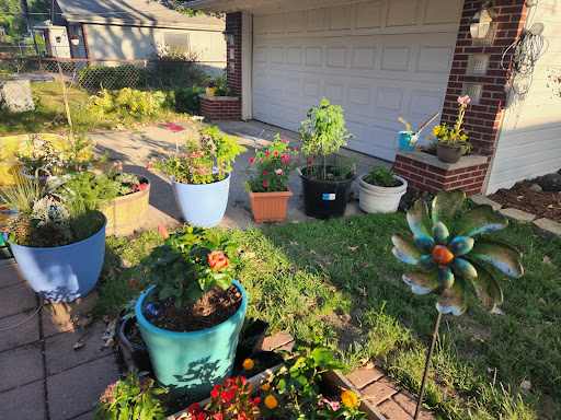 Florist «St. Clair Greenhouses & Florist», reviews and photos, 7043 Big Hand Rd, St Clair, MI 48079, USA