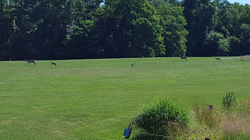 Golf Course «William F. Larkin Golf Course at Colonial Terrace», reviews and photos, 1003 Wickapecko Dr, Ocean Township, NJ 07712, USA