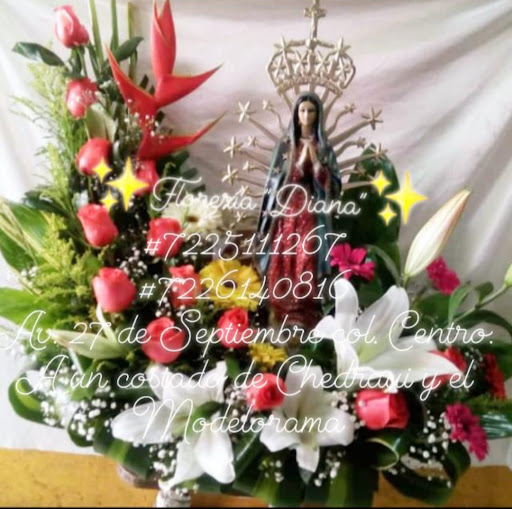 Florería Diana florería en  en la zona Tejupilco