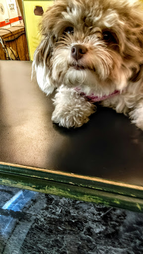 Liquor Store «North End Wine & Liquor Store», reviews and photos, 2509 Webster Ave, Bronx, NY 10458, USA