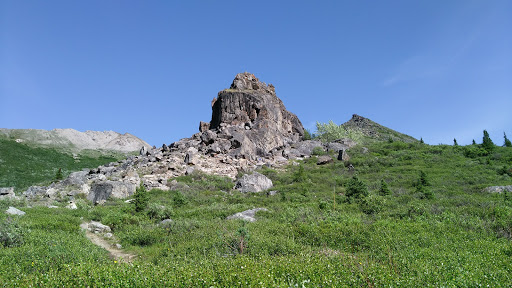 National Park «Denali National Park and Preserve», reviews and photos