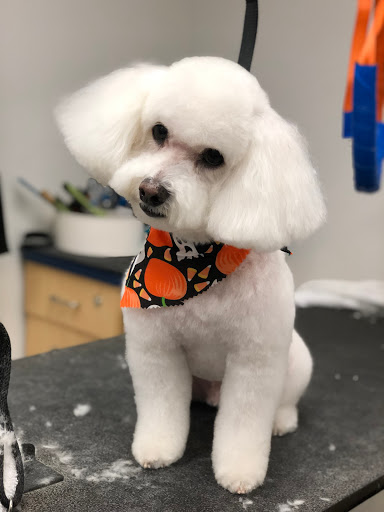 Animal Feed Store «Wilco Farm Store», reviews and photos, 1905 NE Four Acre Pl, Corvallis, OR 97330, USA