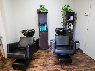 Options Salon