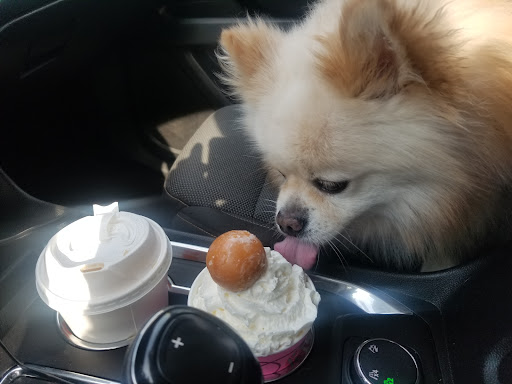 Montowese Veterinary Clinic image