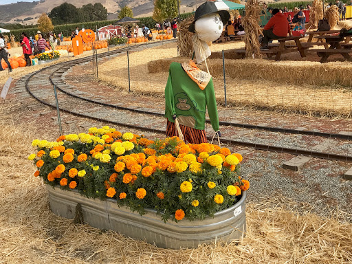 Pumpkin Patch «Spina Farms», reviews and photos, Santa Teresa Blvd, Morgan Hill, CA 95037, USA