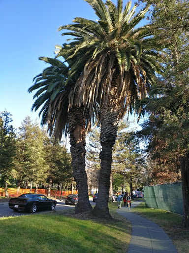 Event Venue «Shoreline Amphitheatre», reviews and photos, 1 Amphitheatre Pkwy, Mountain View, CA 94043, USA