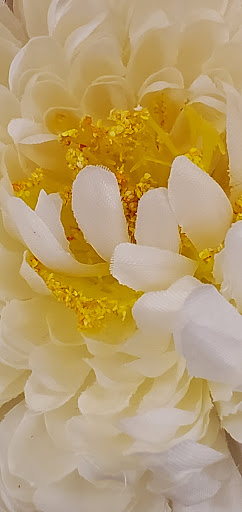 Fabric Store «Jo-Ann Fabrics and Crafts», reviews and photos, 18921 Park Avenue Plaza, Meadville, PA 16335, USA