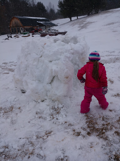 Golf Club «Neshobe Golf Club», reviews and photos, 224 Town Farm Rd, Brandon, VT 05733, USA