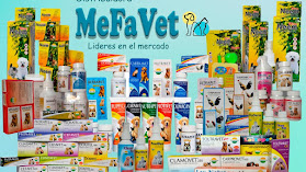 Distribuidora MeFaVeT