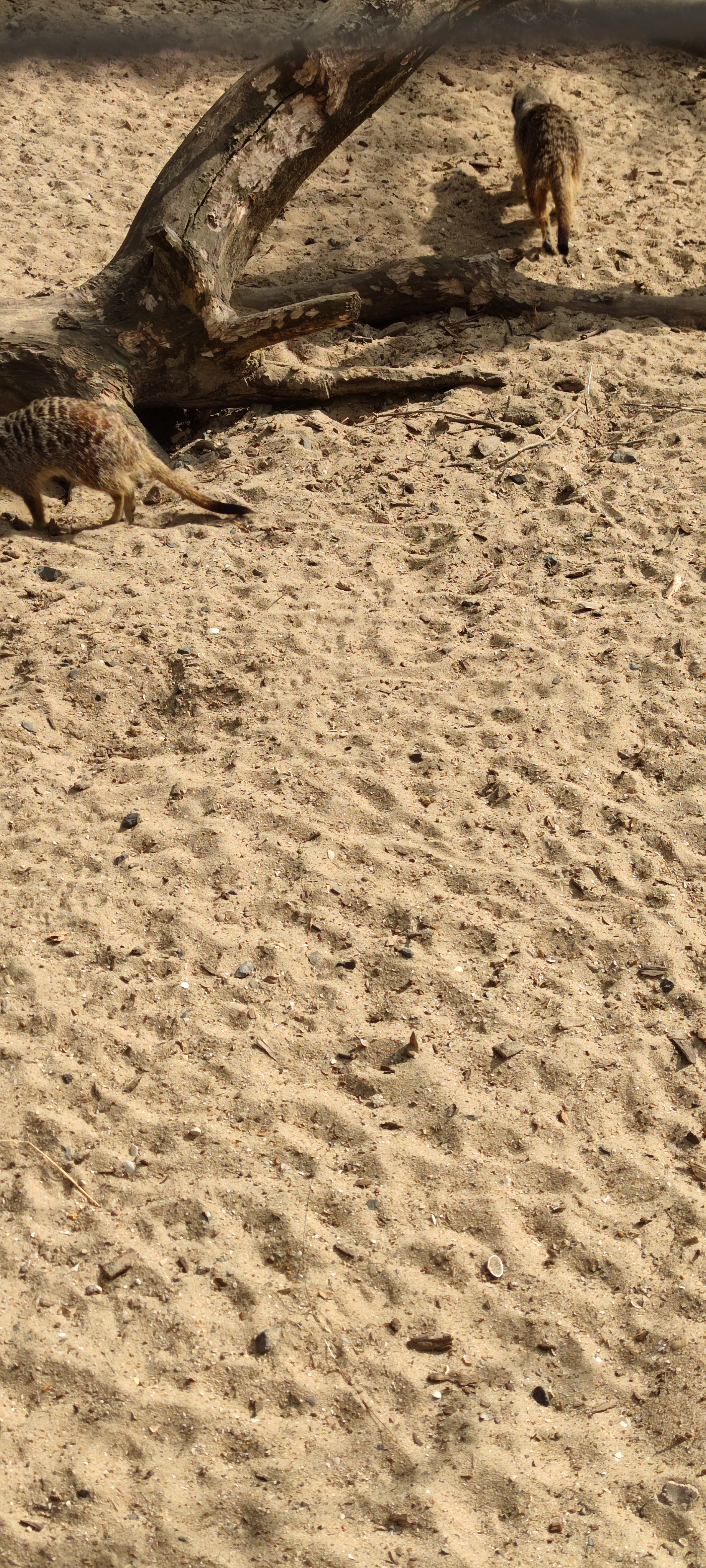 Photo n° 12 de l'avis de Magalie.o fait le 24/07/2021 à 15:03