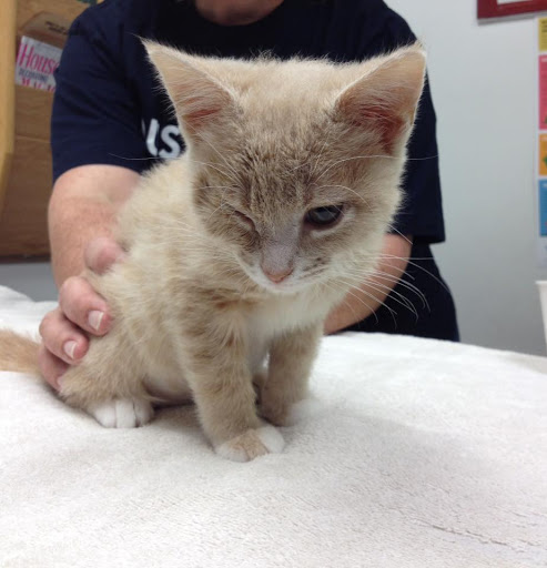 440 W 79th St, Chanhassen, MN 55317, USA