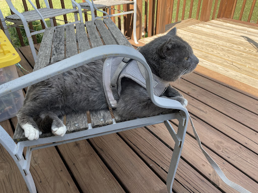 1854 Wayzata Blvd, Long Lake, MN 55356, USA