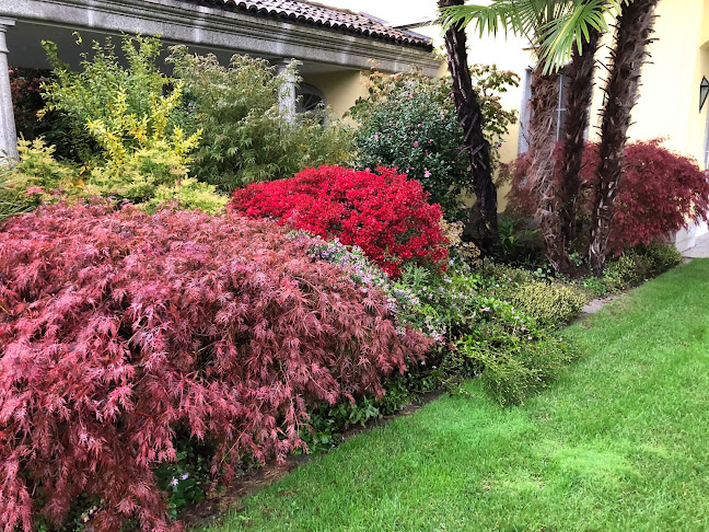 Rezensionen über Giardiniere Lugano - Ticino / Tecnogarden Sagl in Lugano - Gartenbauer