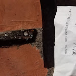 Photo n°1 de l'avis de Vincenzo.e fait le 26/08/2022 à 19:58 sur le  Trattoria Don Camillo à Taormina