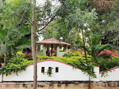 Google Maps image 10