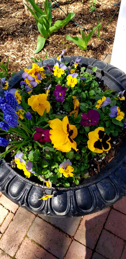 Winery «Truro Vineyards + South Hollow Spirits», reviews and photos, 11 Shore Rd, North Truro, MA 02652, USA