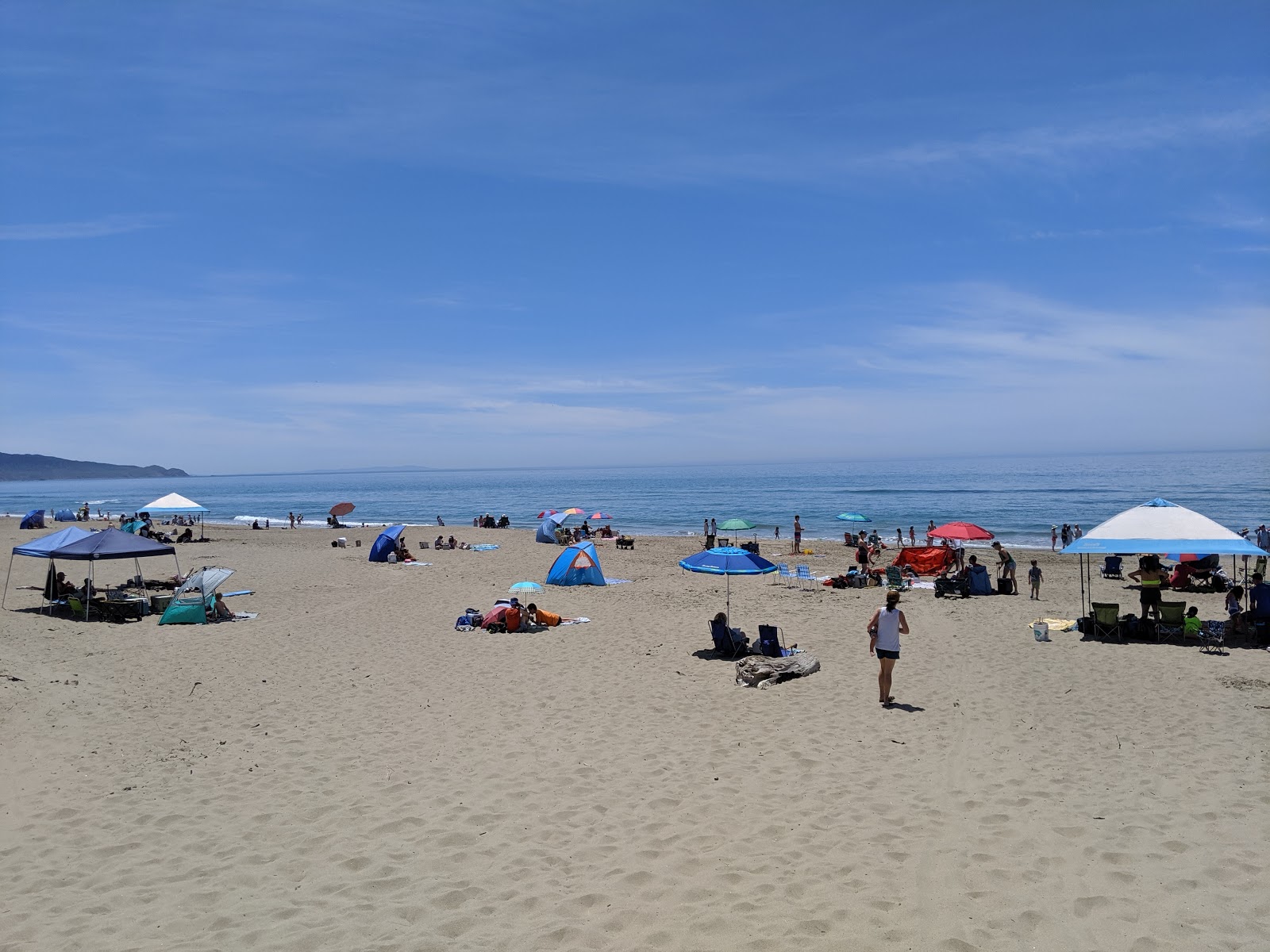 Foto af Limantour Beach vildt område