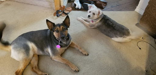 Pet Supply Store «Petco Animal Supplies», reviews and photos, 8700 Preston Rd #105, Plano, TX 75024, USA