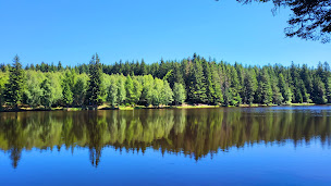Photo n°16 de Etang Du Breuil La Chaise Dieu à Bonneval ()