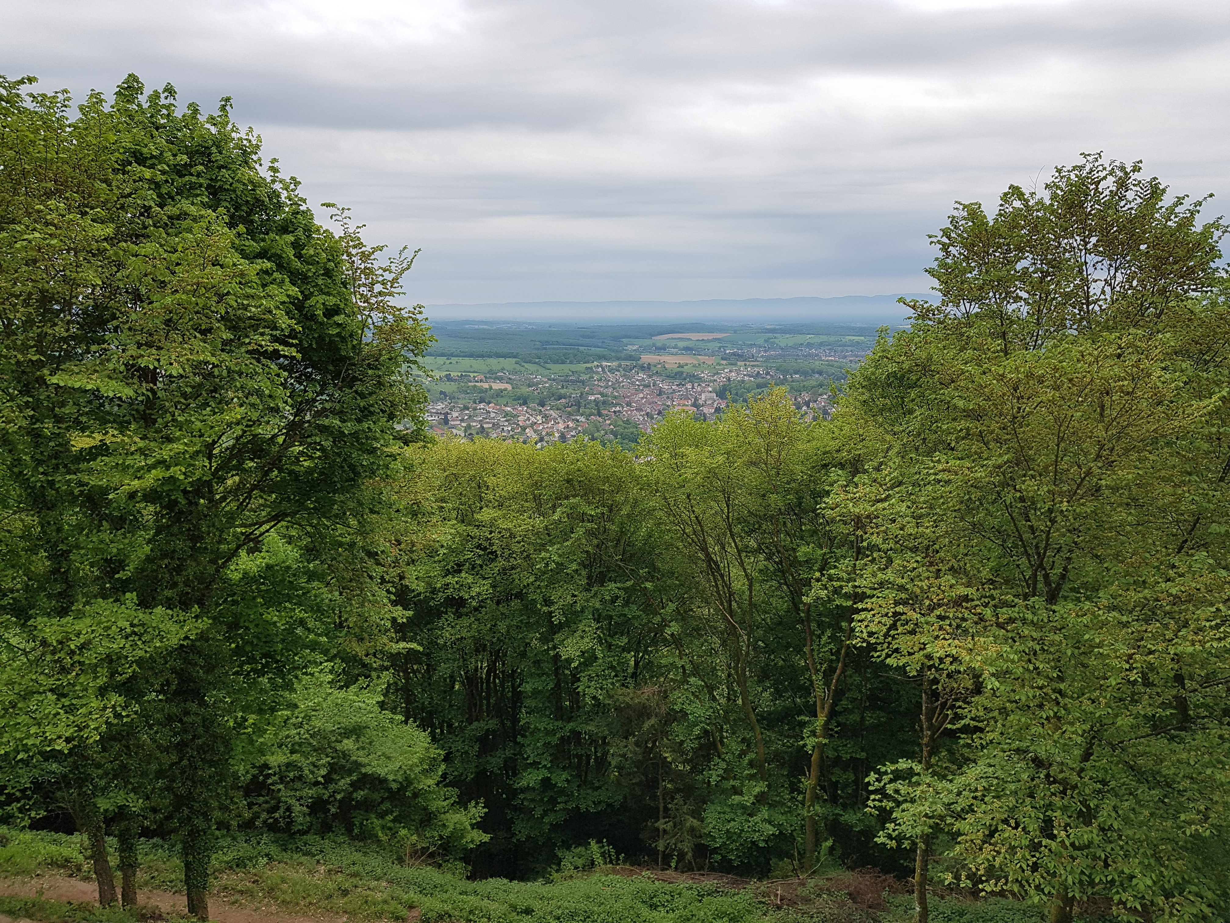 Photo n° 2 de l'avis de Dianne.a fait le 24/06/2018 à 14:51
