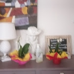 Photo n°2 de l'avis de robin.e fait le 18/08/2022 à 07:19 sur le  Locanda del Musso à Adria