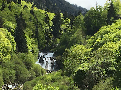 Les Isards à Cauterets à Cauterets