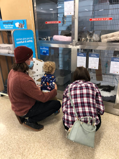 Pet Supply Store «PetSmart», reviews and photos, 5521 Mirage St, Yorba Linda, CA 92887, USA