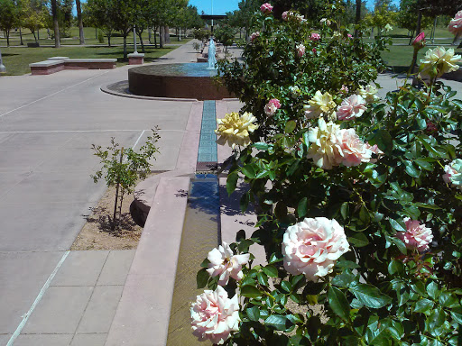 City Park «Steele Indian School Park», reviews and photos, 300 E Indian School Rd, Phoenix, AZ 85012, USA