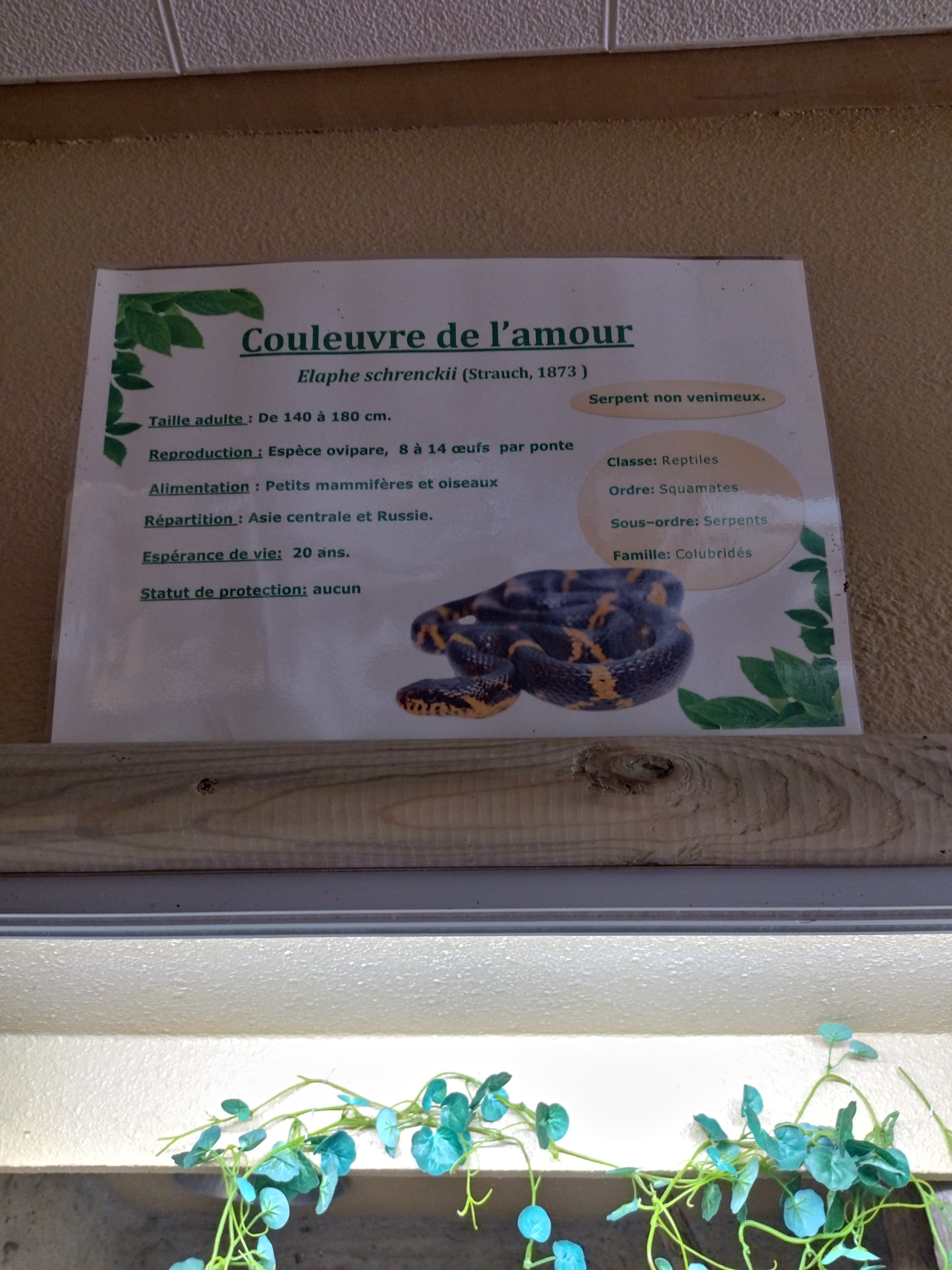 Photo n° 4 de l'avis de Miss.i fait le 24/07/2022 à 14:27