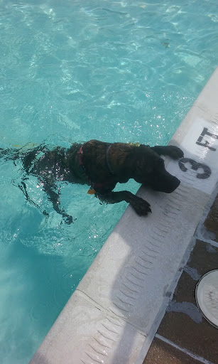 Community Center «Tall Oaks Community Center», reviews and photos, 12298 Cotton Mill Dr, Woodbridge, VA 22192, USA