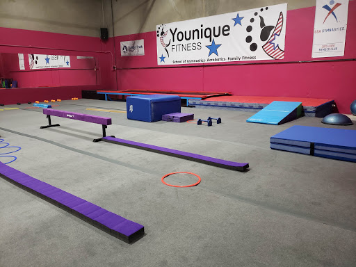 Younique Fitness LLC- (School of Gymnastics, Acrobatics & Family Fitness)