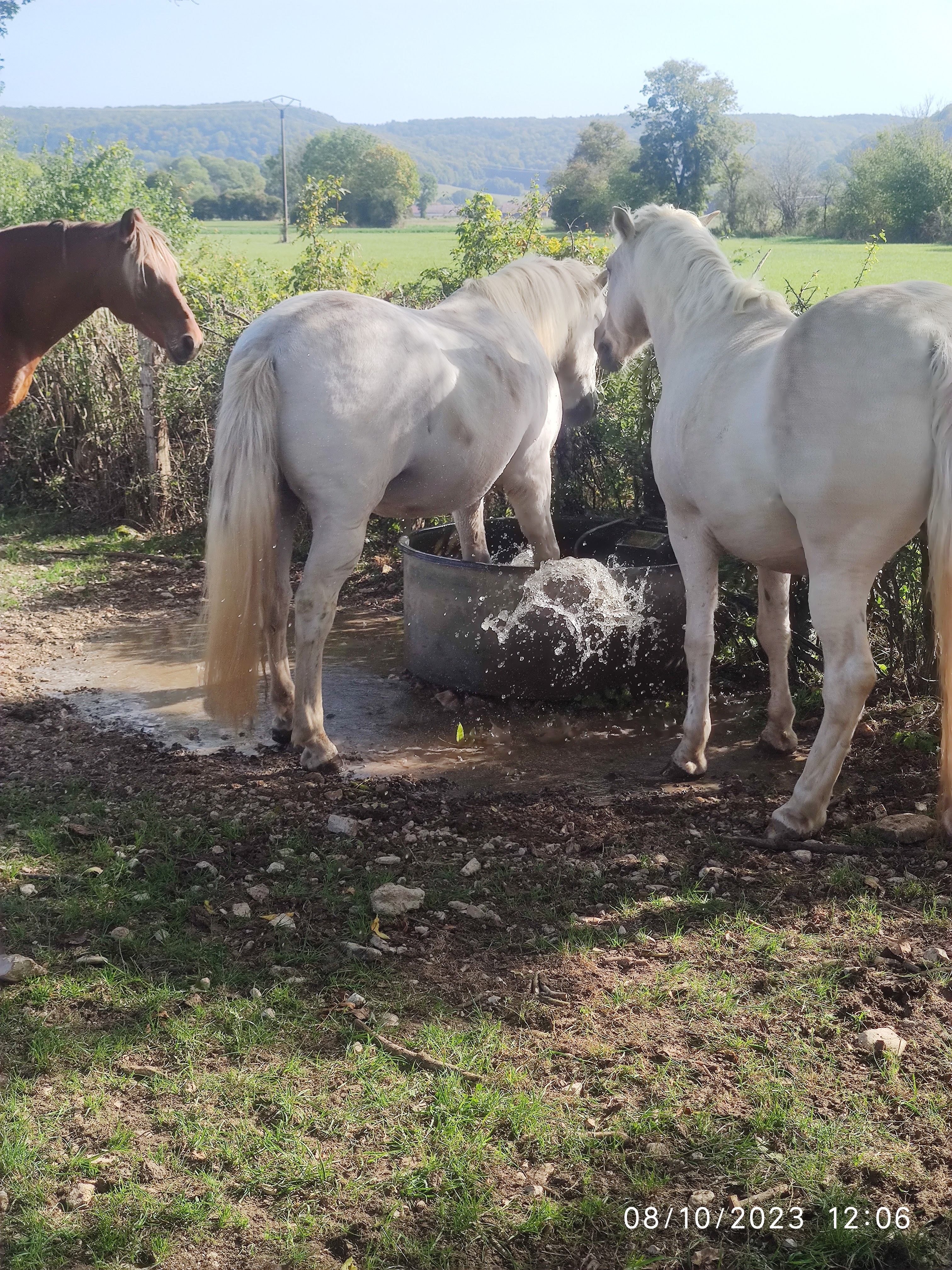 Photo n° 48 de l'avis de Patrick.i fait le 12/12/2023 à 10:07
