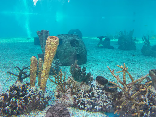 Aquarium «St. Augustine Aquarium», reviews and photos, 2045 FL-16, St Augustine, FL 32084, USA