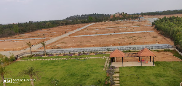 Google Maps image 27