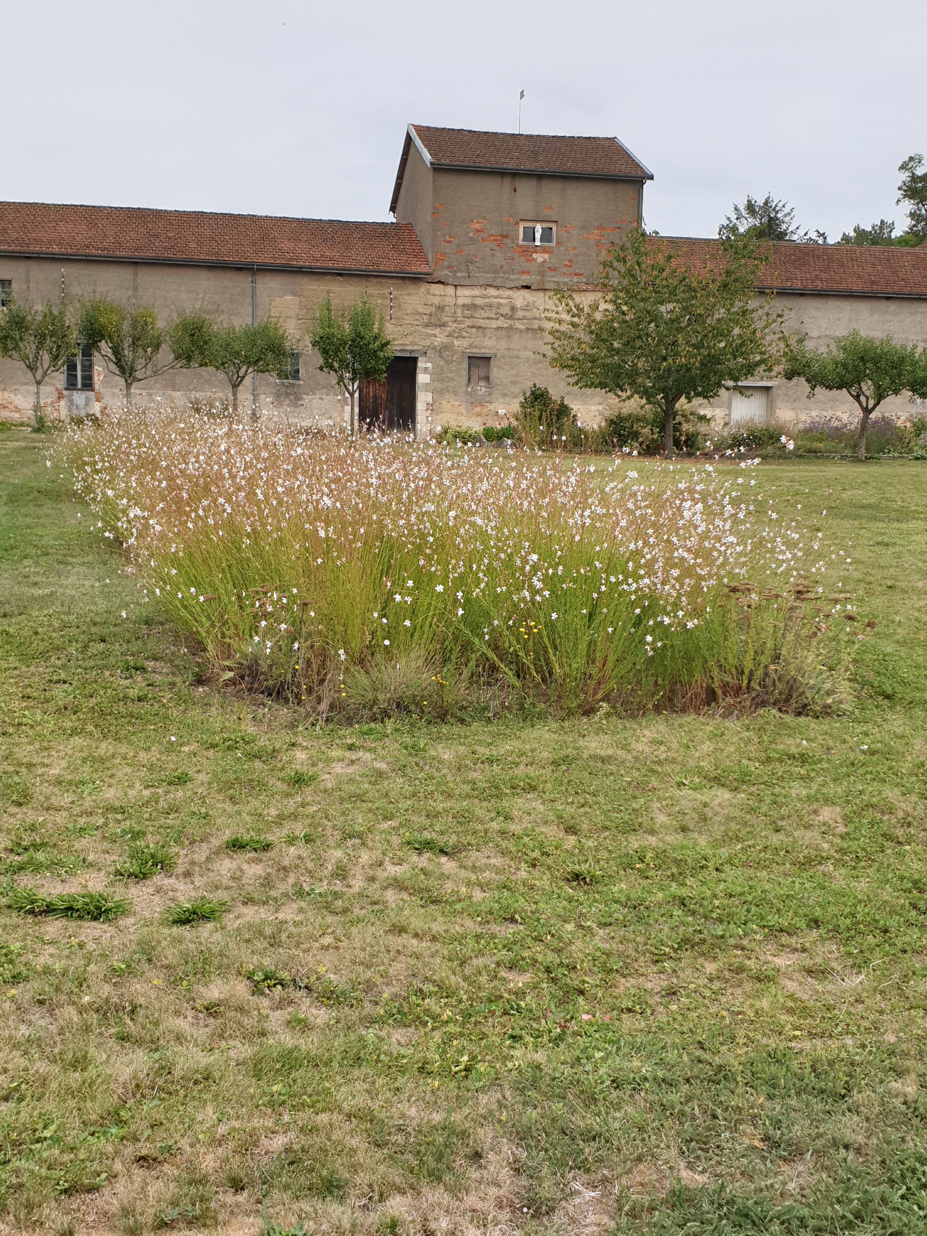 Photo n° 5 de l'avis de Narjen. fait le 04/09/2019 à 14:10