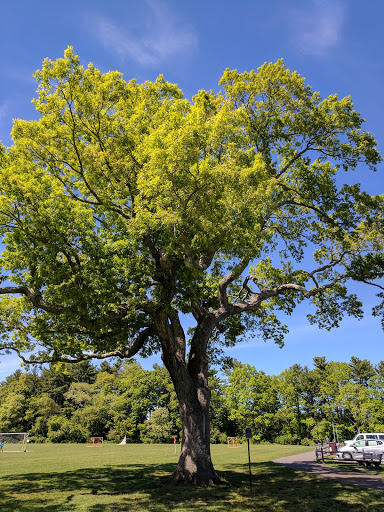 Park «Forge Pond Park», reviews and photos, 245 King St, Hanover, MA 02339, USA