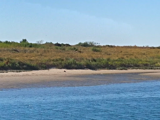 Public Golf Course «Marine Park Golf Course», reviews and photos, 2880 Flatbush Ave, Brooklyn, NY 11234, USA