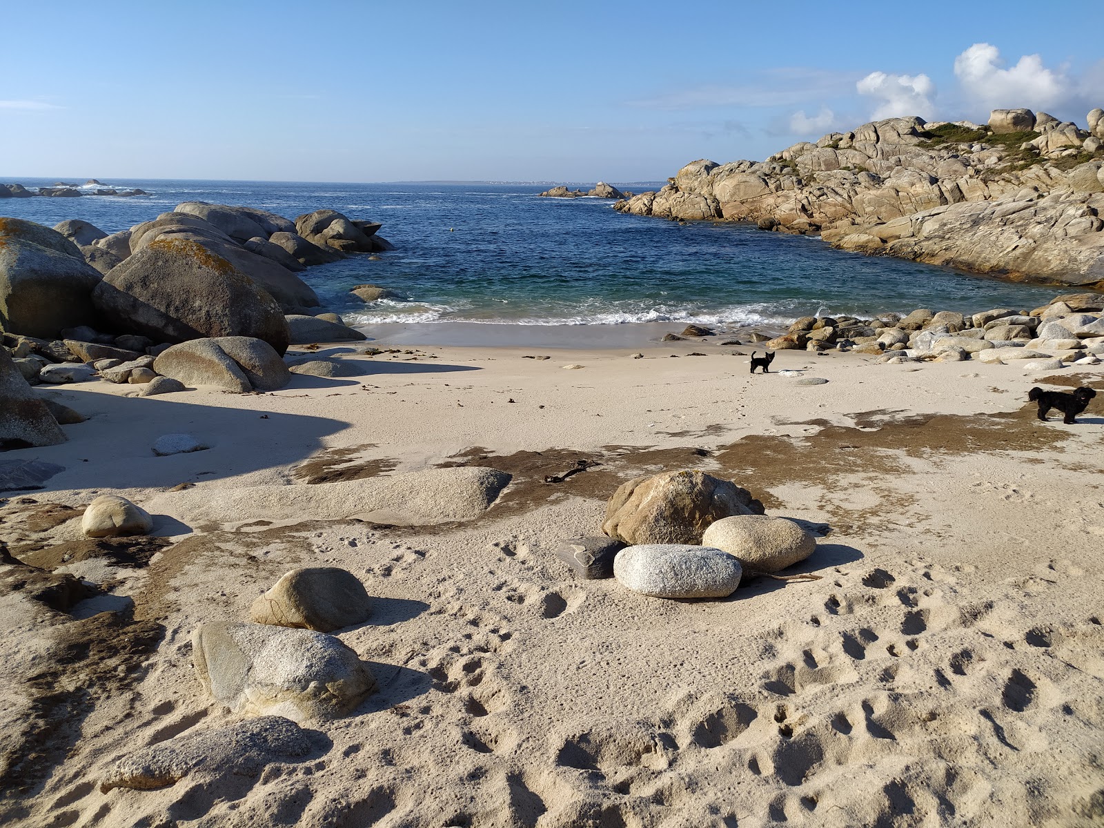 Foto de Couso beach - bom local amigável para animais de estimação para férias