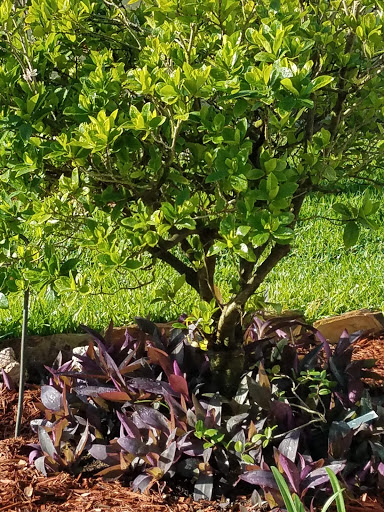 Hardware Store «Vision Ace Hardware», reviews and photos, 8538 Gunn Hwy #10, Odessa, FL 33556, USA