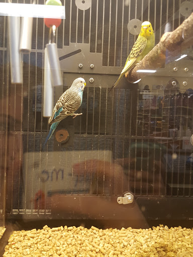 Pet Supply Store «PetSmart», reviews and photos, 482 Stillwater Ave Ste 2A, Bangor, ME 04401, USA