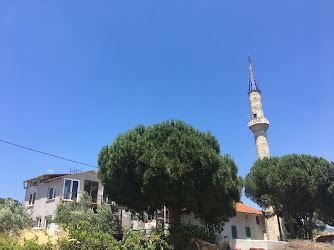 Çam Mahallesi Cami