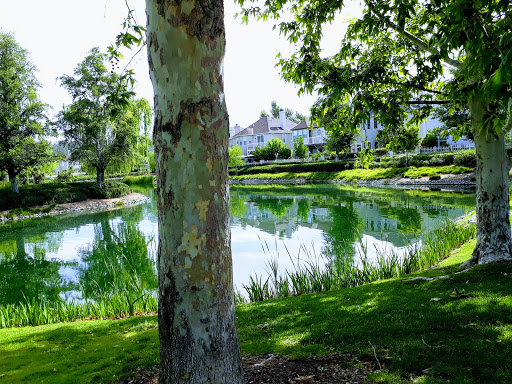 Park «Bridgeport Park», reviews and photos, 23520 Bridgeport Ln, Santa Clarita, CA 91355, USA