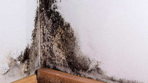 100 Hano St #23A, Allston, MA 02134, USA