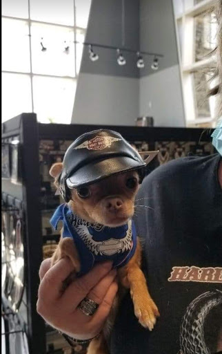 Harley-Davidson Dealer «Heart of Dixie Harley-Davidson», reviews and photos, 333 Cahaba Valley Pkwy N, Pelham, AL 35124, USA